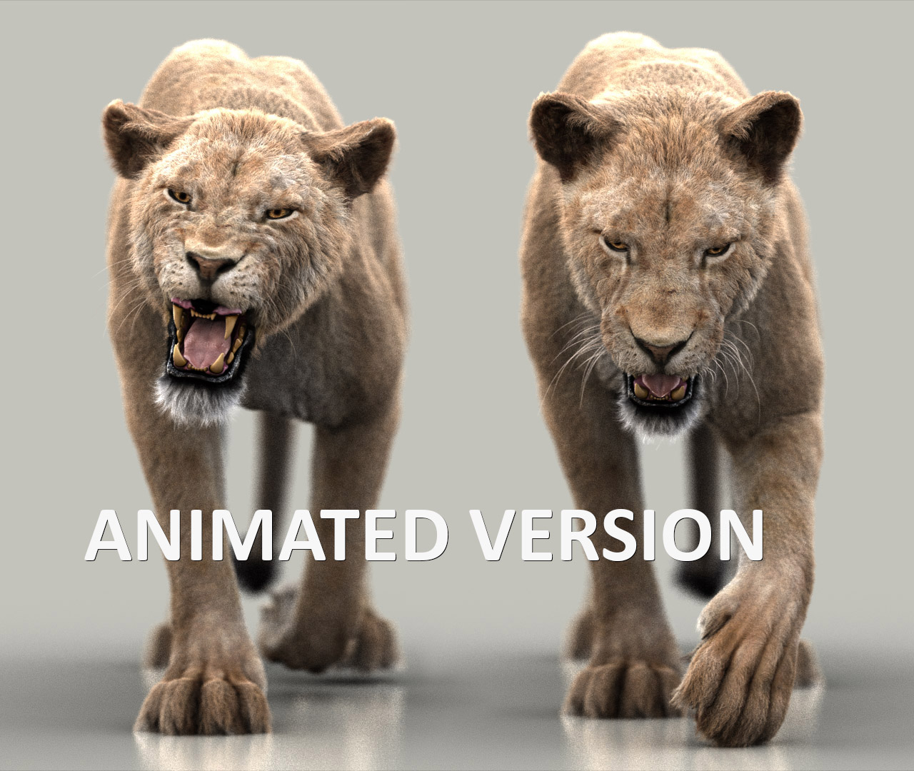 Lion 3D Model Online | Animal 3D Model Online