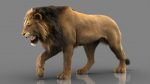 Lion 3D Model Online | Animal 3D Model Online