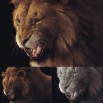 Lion 3D Model Online | Animal 3D Model Online