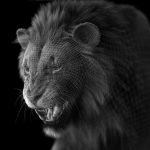 Lion 3D Model Online | Animal 3D Model Online