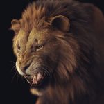 Lion 3D Model Online | Animal 3D Model Online