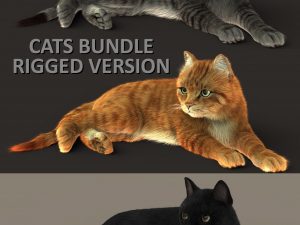 Cat 3D Model Online | Animal 3D Model Online