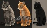Cat 3D Model Online | Animal 3D Model Online