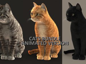 Cat 3D Model Online | Animal 3D Model Online