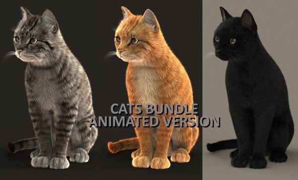 Cat 3D Model Online | Animal 3D Model Online
