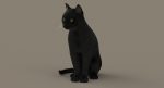 Black Cat 3D Model Online | Animal 3D Model Online