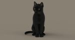 Black Cat 3D Model Online | Animal 3D Model Online