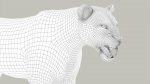 Lion 3D Model Online | Animal 3D Model Online