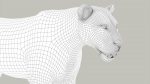 Lion 3D Model Online | Animal 3D Model Online