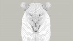 Lion 3D Model Online | Animal 3D Model Online