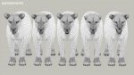 Lion 3D Model Online | Animal 3D Model Online