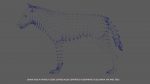 Wolf 3D Model Online | Animal 3D Model Online