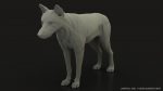 Wolf 3D Model Online | Animal 3D Model Online