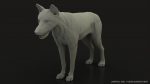 Wolf 3D Model Online | Animal 3D Model Online