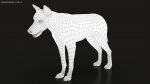 Wolf 3D Model Online | Animal 3D Model Online