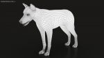 Wolf 3D Model Online | Animal 3D Model Online