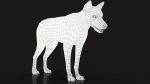 Wolf 3D Model Online | Animal 3D Model Online
