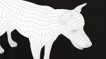 Wolf 3D Model Online | Animal 3D Model Online