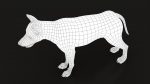 Wolf 3D Model Online | Animal 3D Model Online