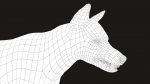 Wolf 3D Model Online | Animal 3D Model Online