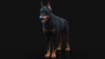 Dobermann 3D Model Online | Animal 3D Model Online