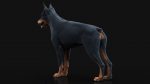 Dobermann 3D Model Online | Animal 3D Model Online