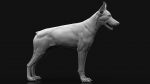 Dobermann 3D Model Online | Animal 3D Model Online