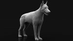 Dobermann 3D Model Online | Animal 3D Model Online