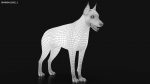 Dobermann 3D Model Online | Animal 3D Model Online
