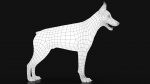 Dobermann 3D Model Online | Animal 3D Model Online