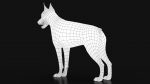 Dobermann 3D Model Online | Animal 3D Model Online