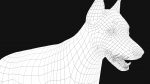 Dobermann 3D Model Online | Animal 3D Model Online