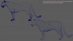 Jaguar 3D Model Online | Animal 3D Model Online