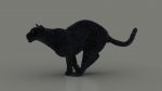 Black Jaguar 3D Model Online | Animal 3D Model Online