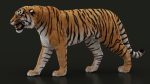 Bengal Tiger 3D Model Online | Animal 3D Model Online