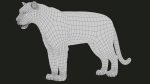 Bengal Tiger 3D Model Online | Animal 3D Model Online