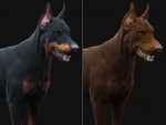 Dobermann 3D Model Online | Animal 3D Model Online
