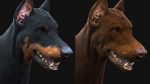 Dobermann 3D Model Online | Animal 3D Model Online
