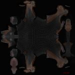 Dobermann 3D Model Online | Animal 3D Model Online