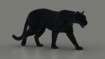 Black Jaguar 3D Model Online | Animal 3D Model Online