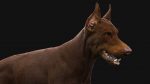 Dobermann 3D Model Online | Animal 3D Model Online