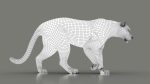 Jaguar 3D Model Online | Animal 3D Model Online