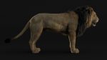 Lion 3D Model Online | Animal 3D Model Online