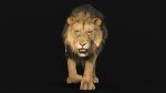 Lion 3D Model Online | Animal 3D Model Online