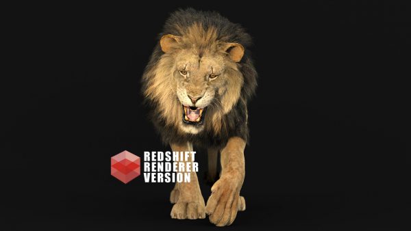 Lion 3D Model Online | Animal 3D Model Online