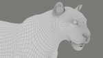 Jaguar 3D Model Online | Animal 3D Model Online