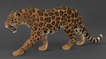 Jaguar 3D Model Online | Animal 3D Model Online