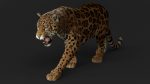 Jaguar 3D Model Online | Animal 3D Model Online