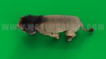 Lion 3D Model Online | Animal 3D Model Online