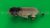 Lion 3D Model Online | Animal 3D Model Online